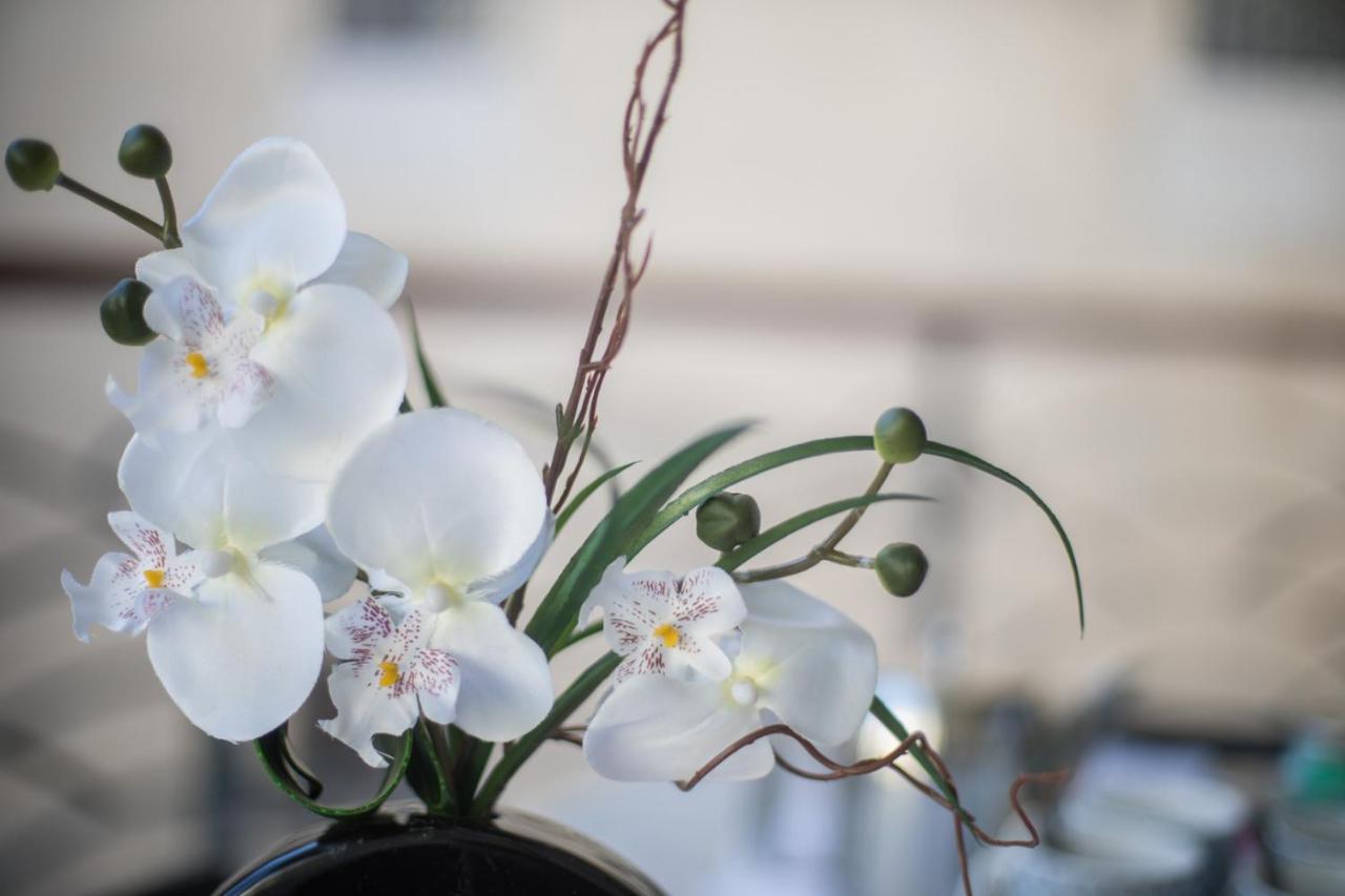 Palais Liberte Apartment นีซ ภายนอก รูปภาพ